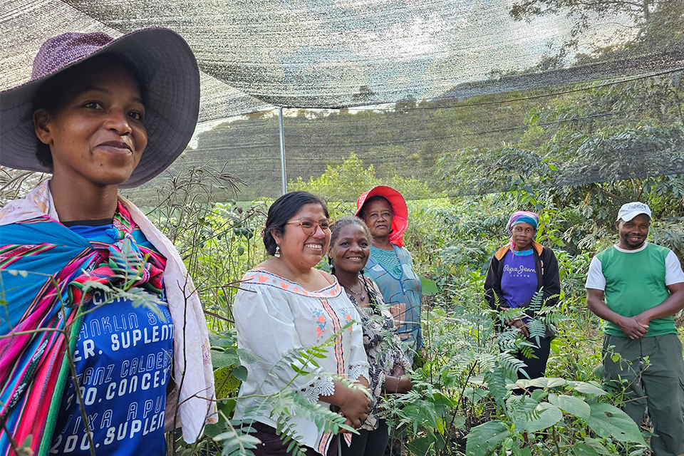 Afrobolivianas protectoras de plantas medicinales en Tocaña